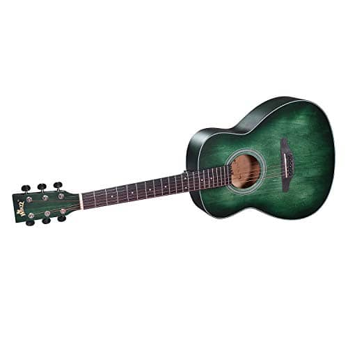 WINZZ 3/4 Dreadnought Acoustic Guitar Bundle with Online Lessons, Bag, Metronome Tuner, Wall-mounted Hanger, Strap, Picks & Cleaning Cloth,36 Inches Right Handed, Dark Hunter Green 6